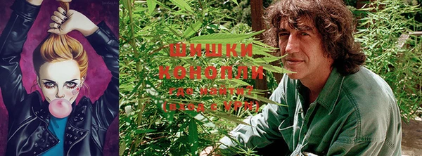 шишки Бугульма