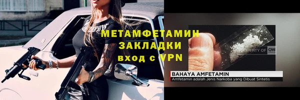 гидра Бронницы