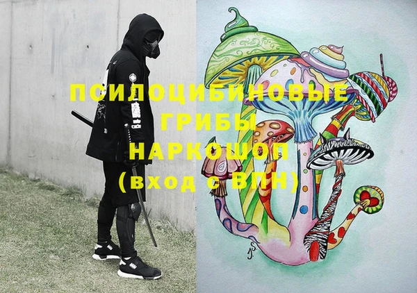 спайс Бородино