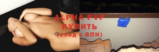спайс Бородино