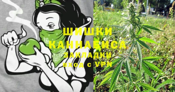 шишки Бугульма
