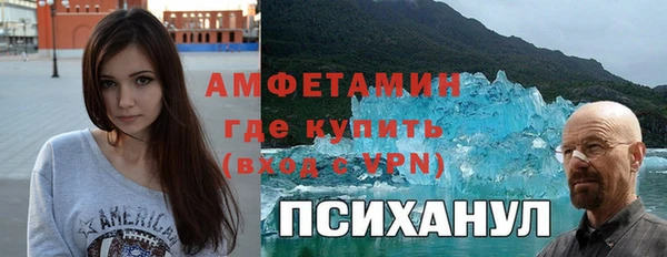 гидра Бронницы