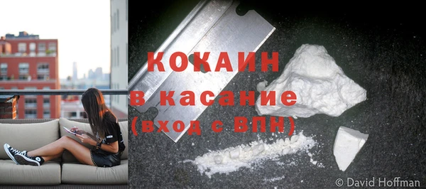 гидра Бронницы