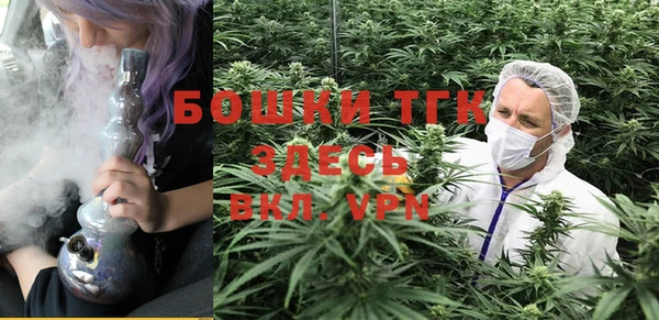 шишки Бугульма